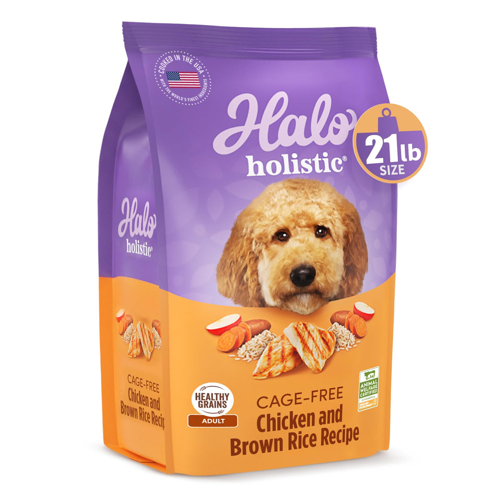 Halo gros plan des croquettes montrant texture digeste et appétence