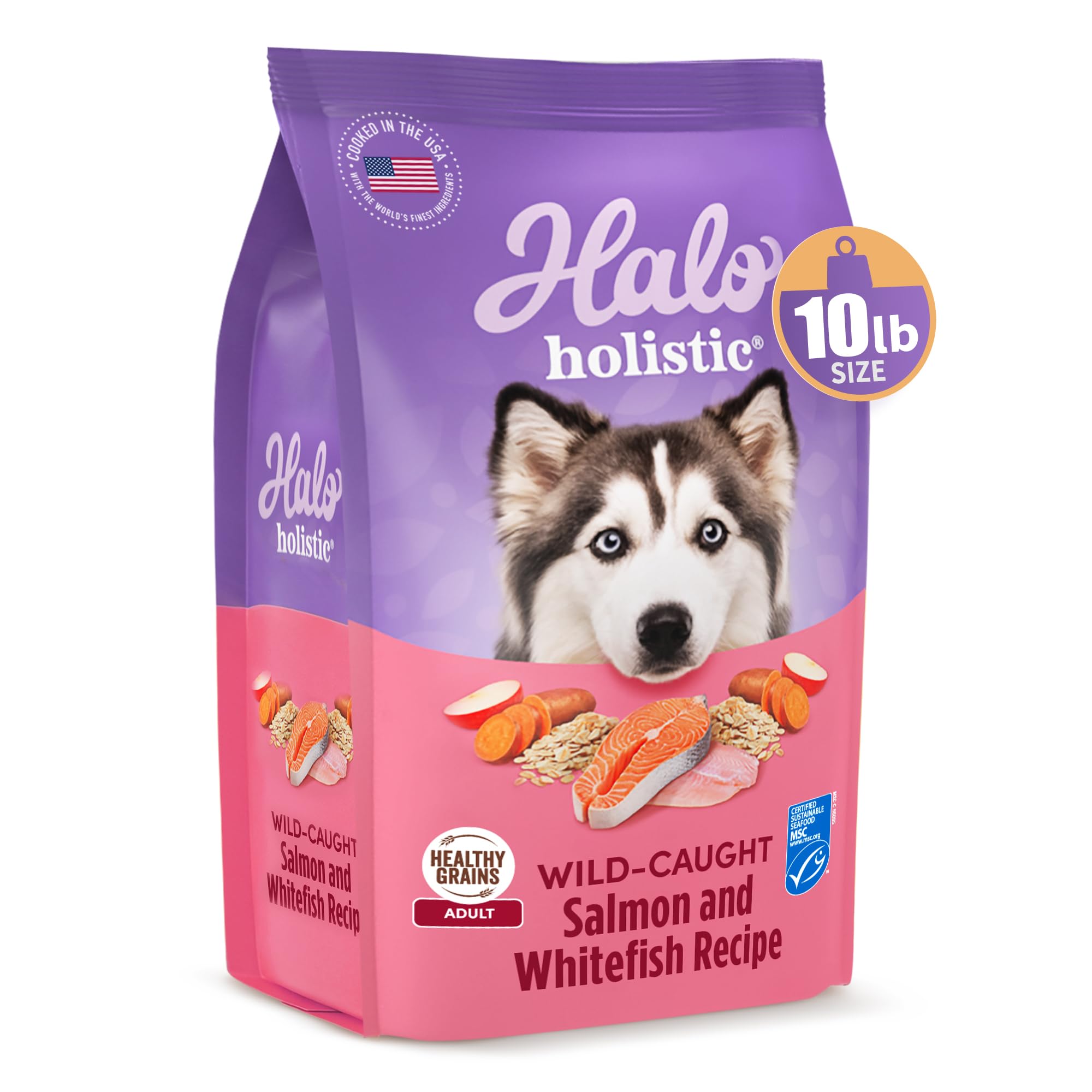 Halo gros plan sur la texture des croquettes pour meilleure appétence