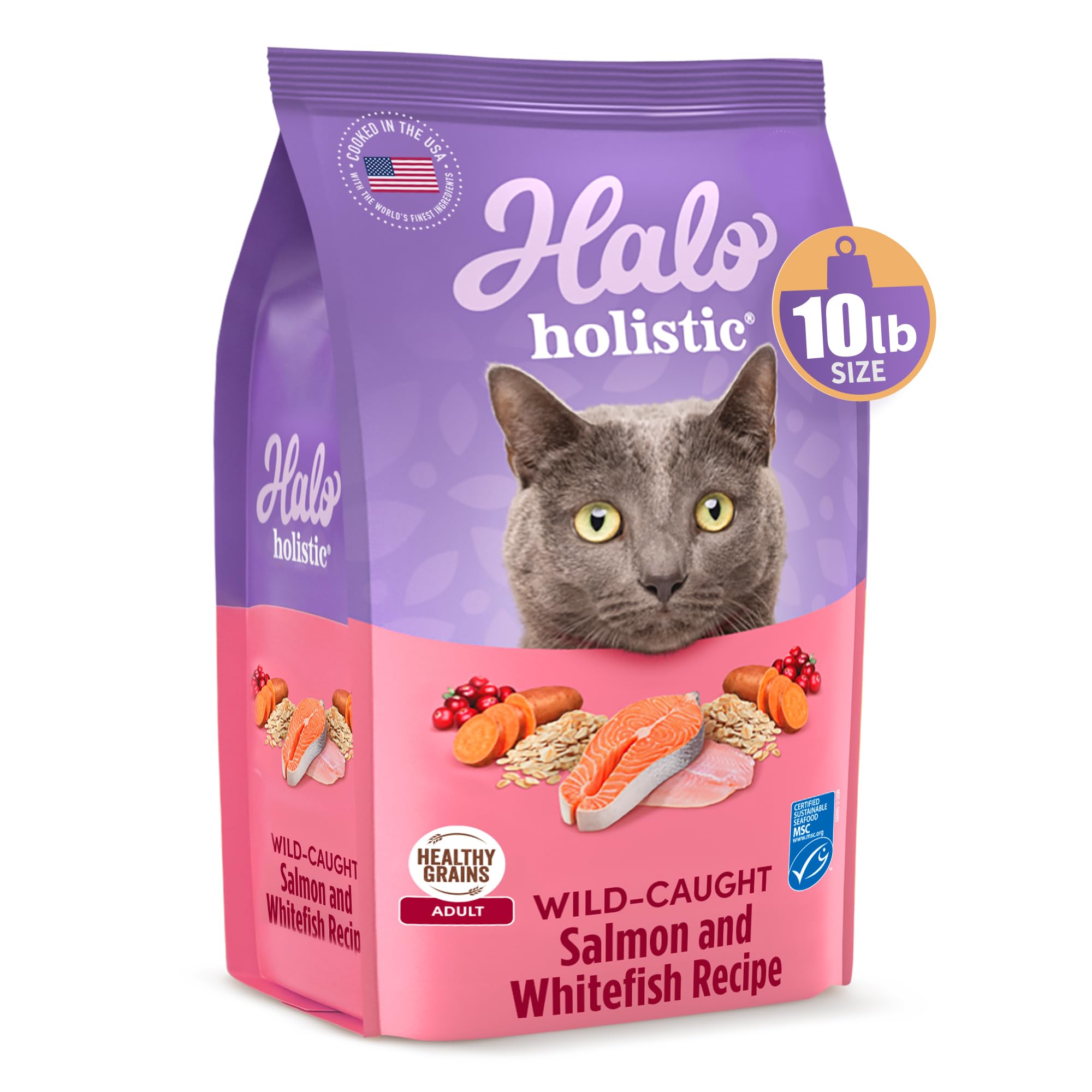 Halo gros plan croquettes montrant texture et appétence pour meilleure digestion