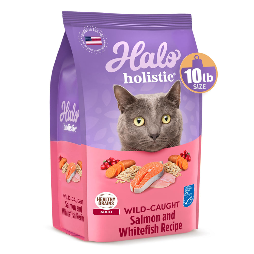 Halo gros plan croquettes montrant texture et appétence pour meilleure digestion