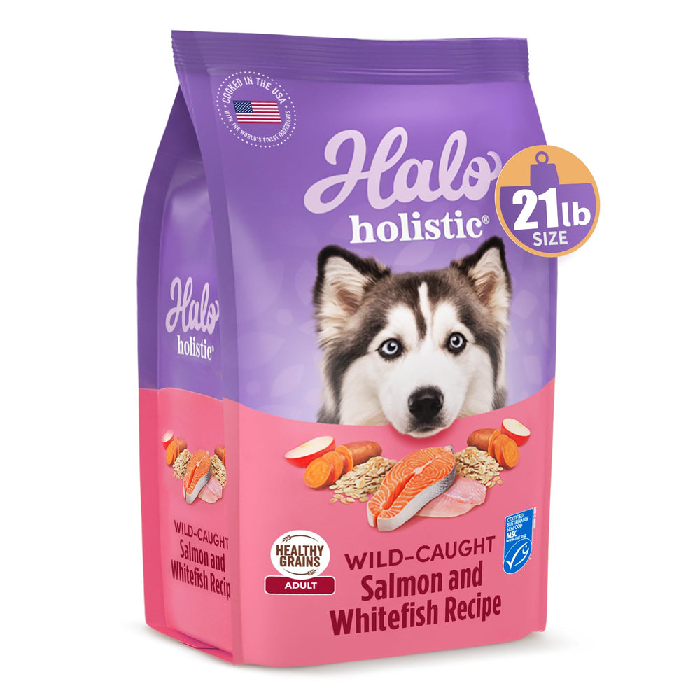 Halo gros plan des croquettes montrant texture croquante et digestibilité améliorée