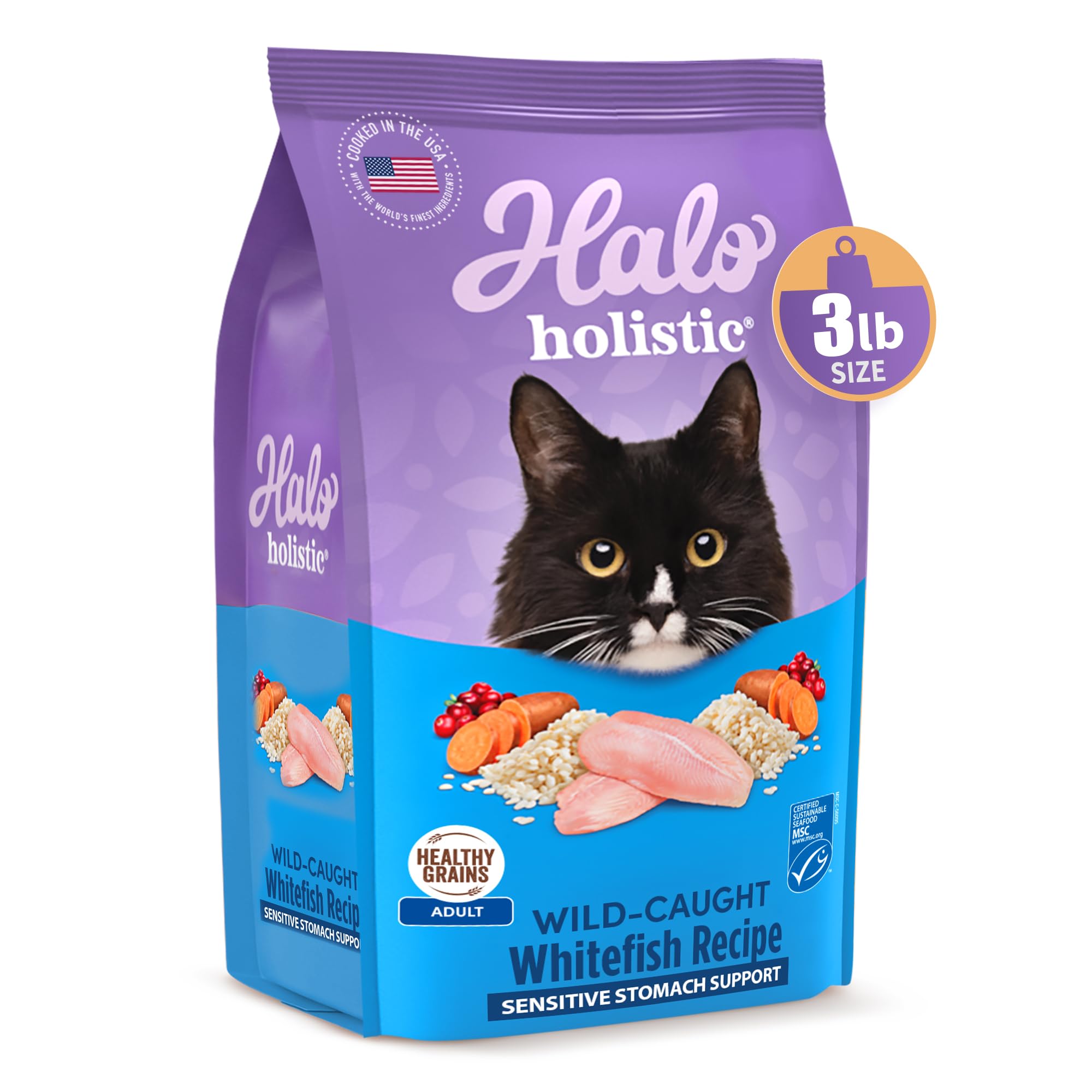 Halo gros plan croquette texture riche en protéines pour meilleure absorption