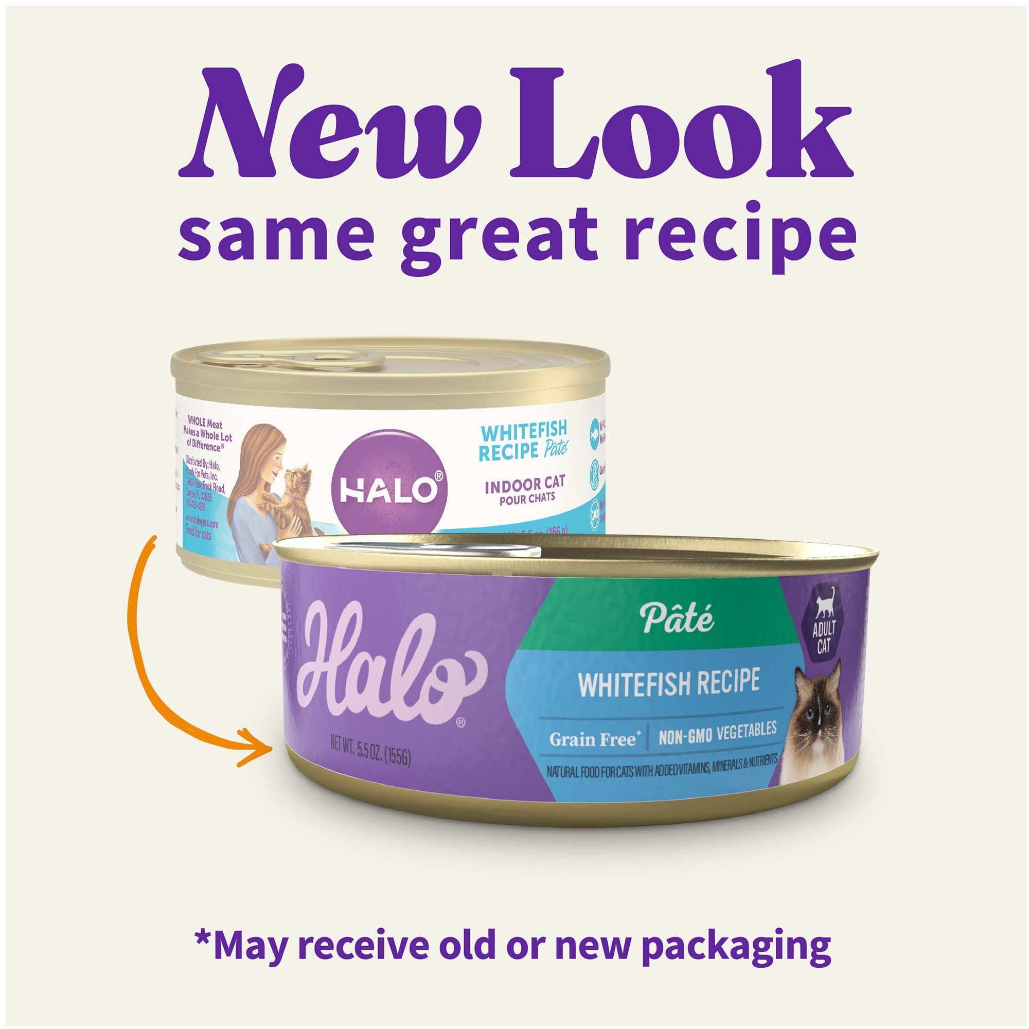 Halo pâté gros plan texture lisse indiquant facilité de mastication