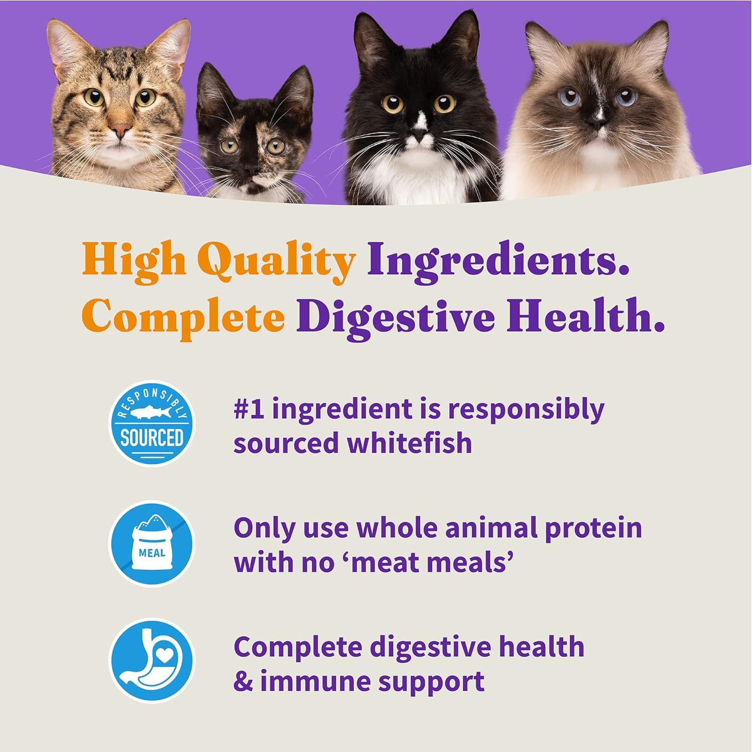 Chat au pelage brillant après alimentation Halo pour peau saine