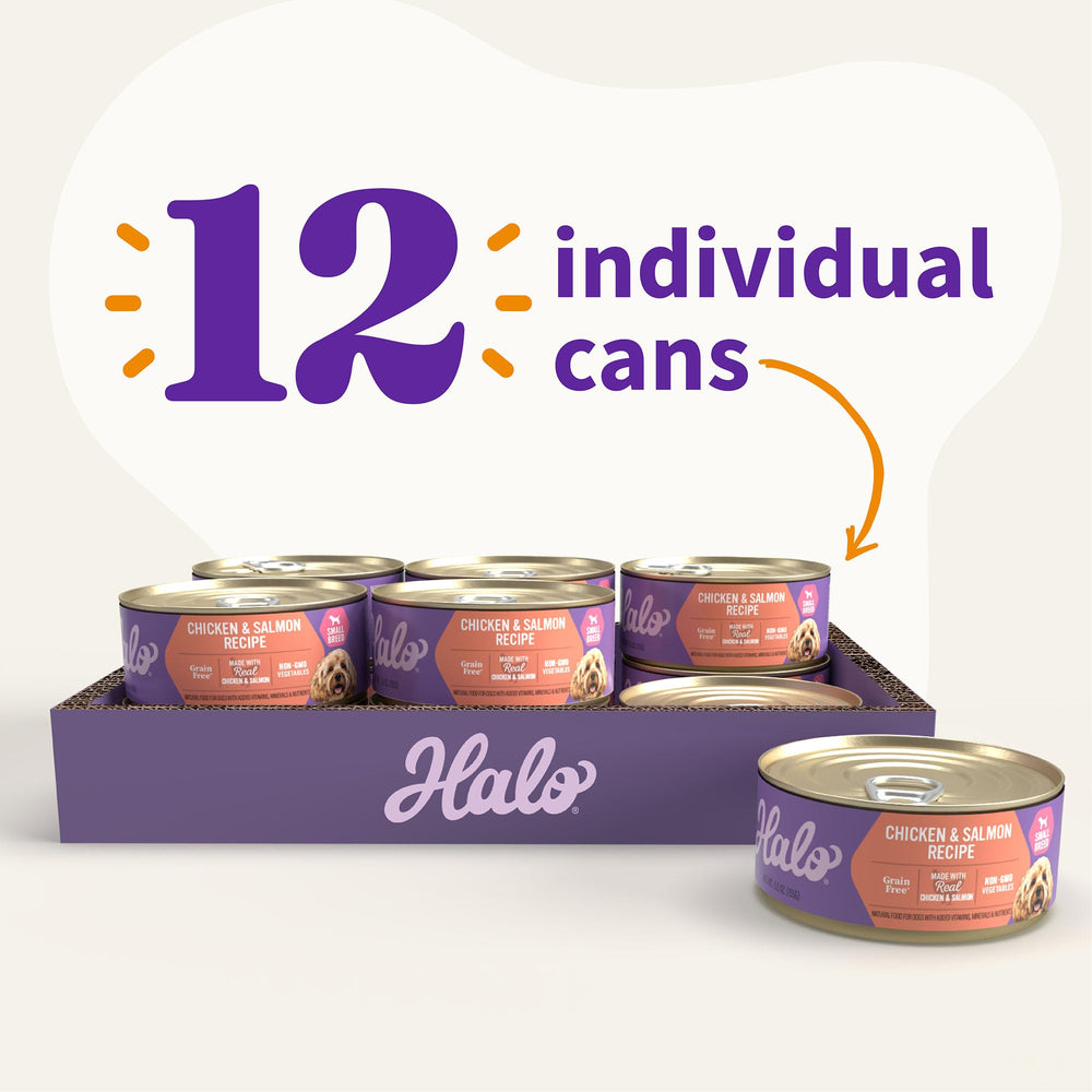 Halo scène de vie chien mange illustrant acceptation et bénéfice plaisir alimentaire