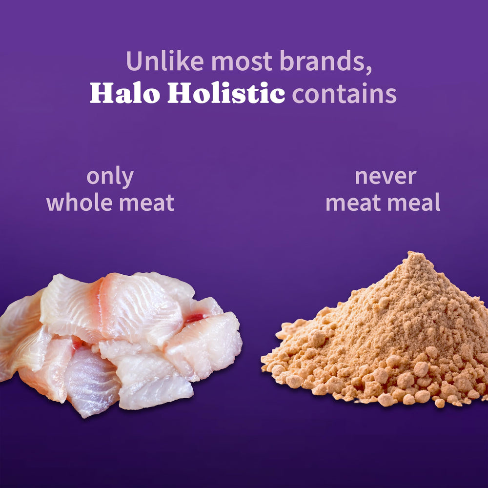 Zoom sur whitefish sauvage utilisé par Halo pour protéines de qualité