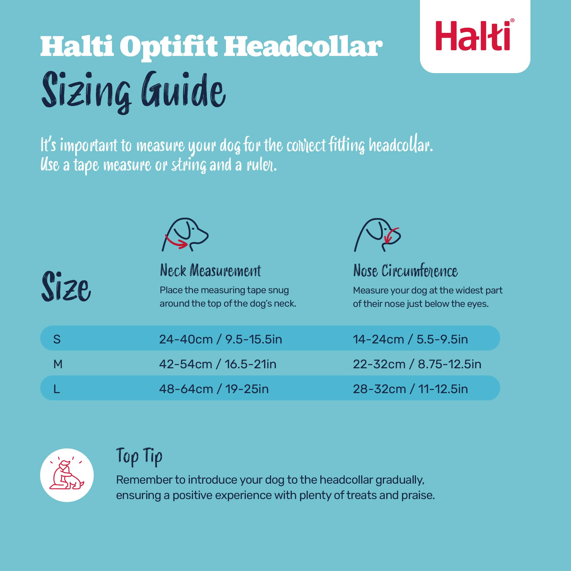 Pack complet Halti présenté sur table pour visualiser la combinaison produit