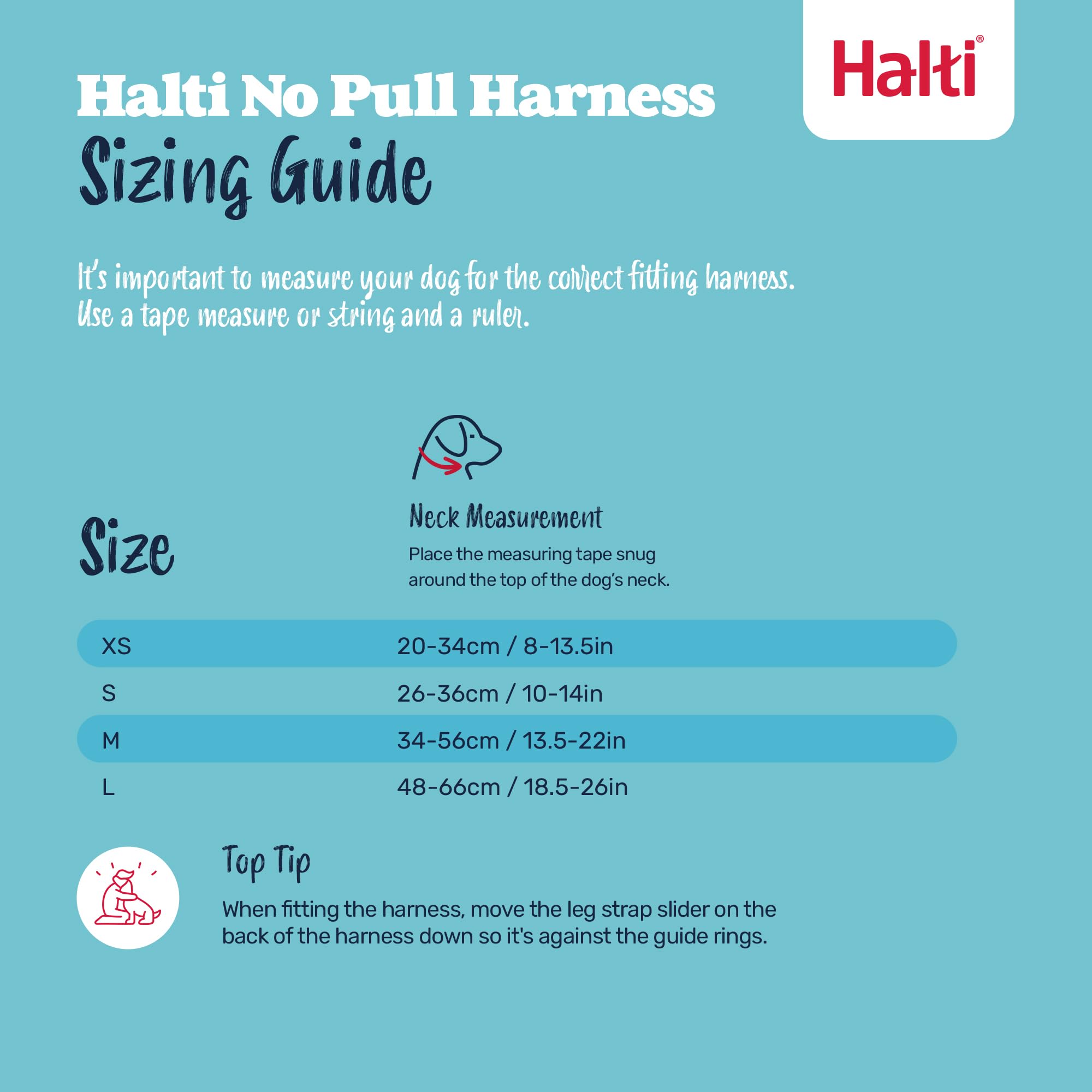 Halti harnais taille M posé à côté d'un objet pour échelle, guide d'ajustement clair