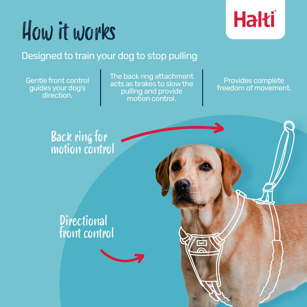 Halti système d'attache frontal illustrant la réorientation douce de la traction