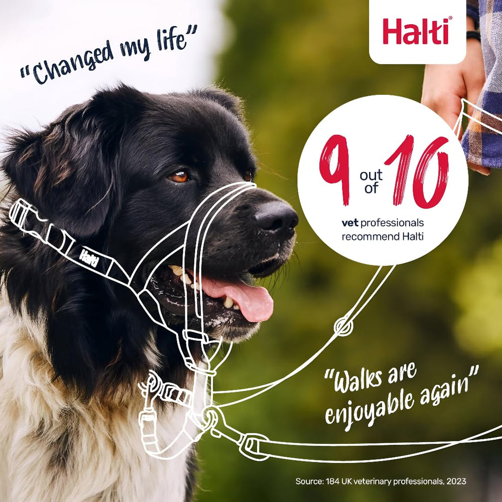 Halti headcollar détail bandes réfléchissantes et boucle sécurisée pour visibilité