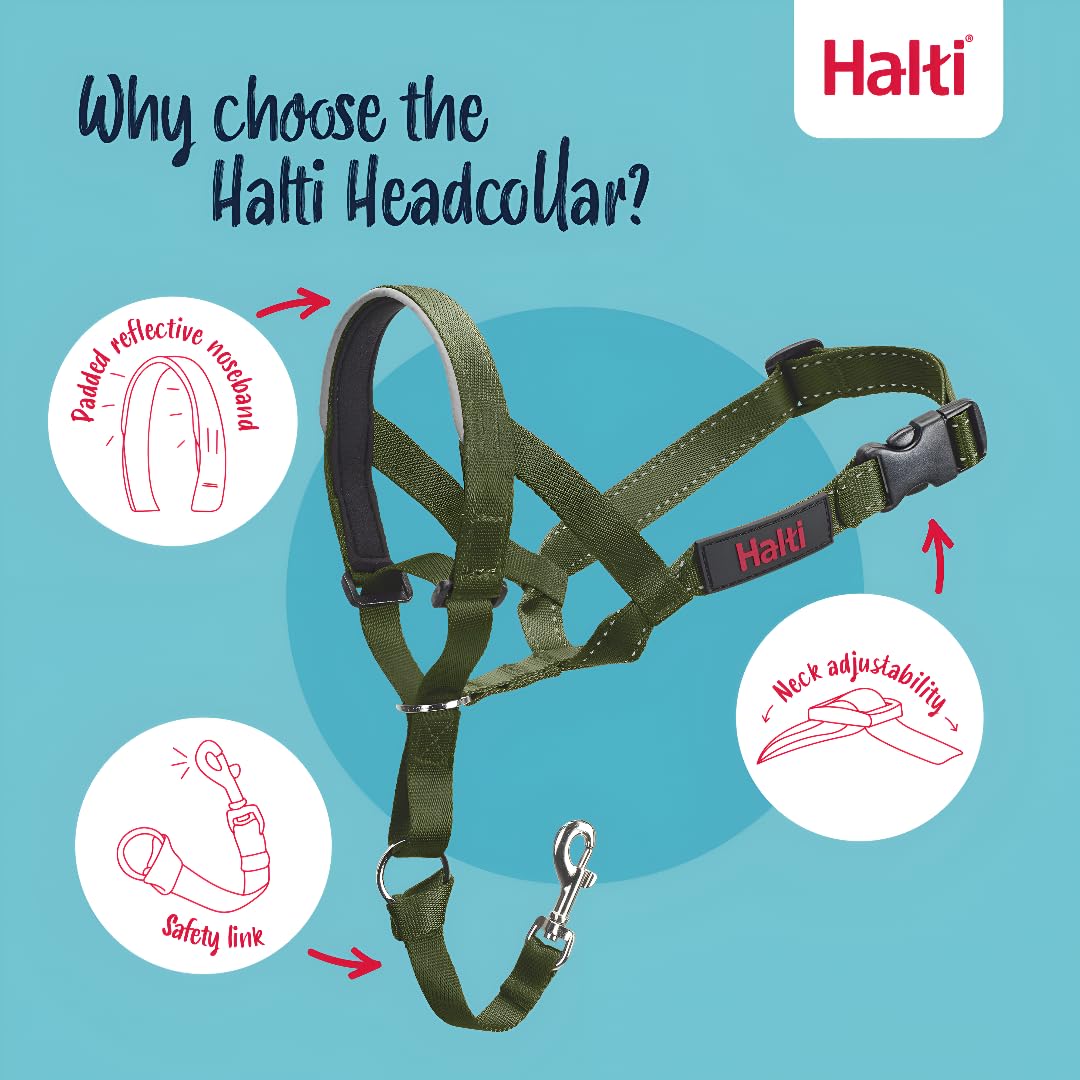 Halti headcollar en promenade guidant la tête pour réduire la traction