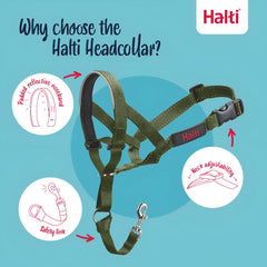 Halti headcollar en promenade guidant la tête pour réduire la traction
