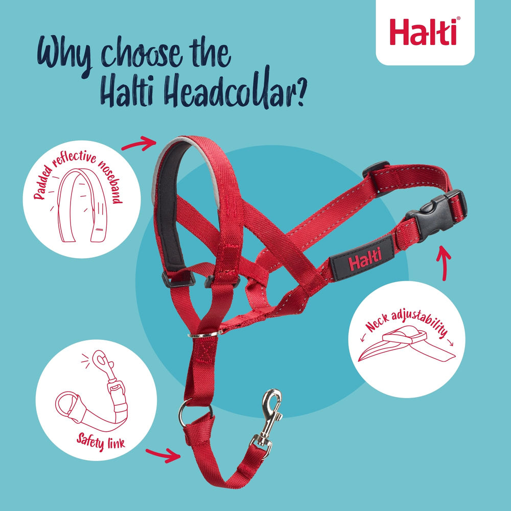 Halti headcollar utilisé en promenade réduisant la traction du chien
