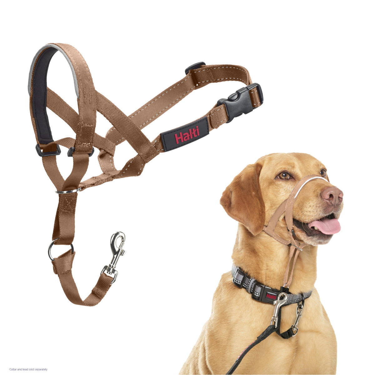 Halti headcollar face avant Desert Sand montrant ajustement confortable