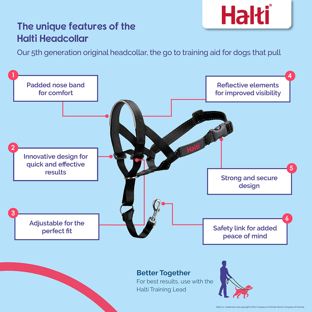 Halti headcollar gros plan sur nez rembourré en néoprène confort accru