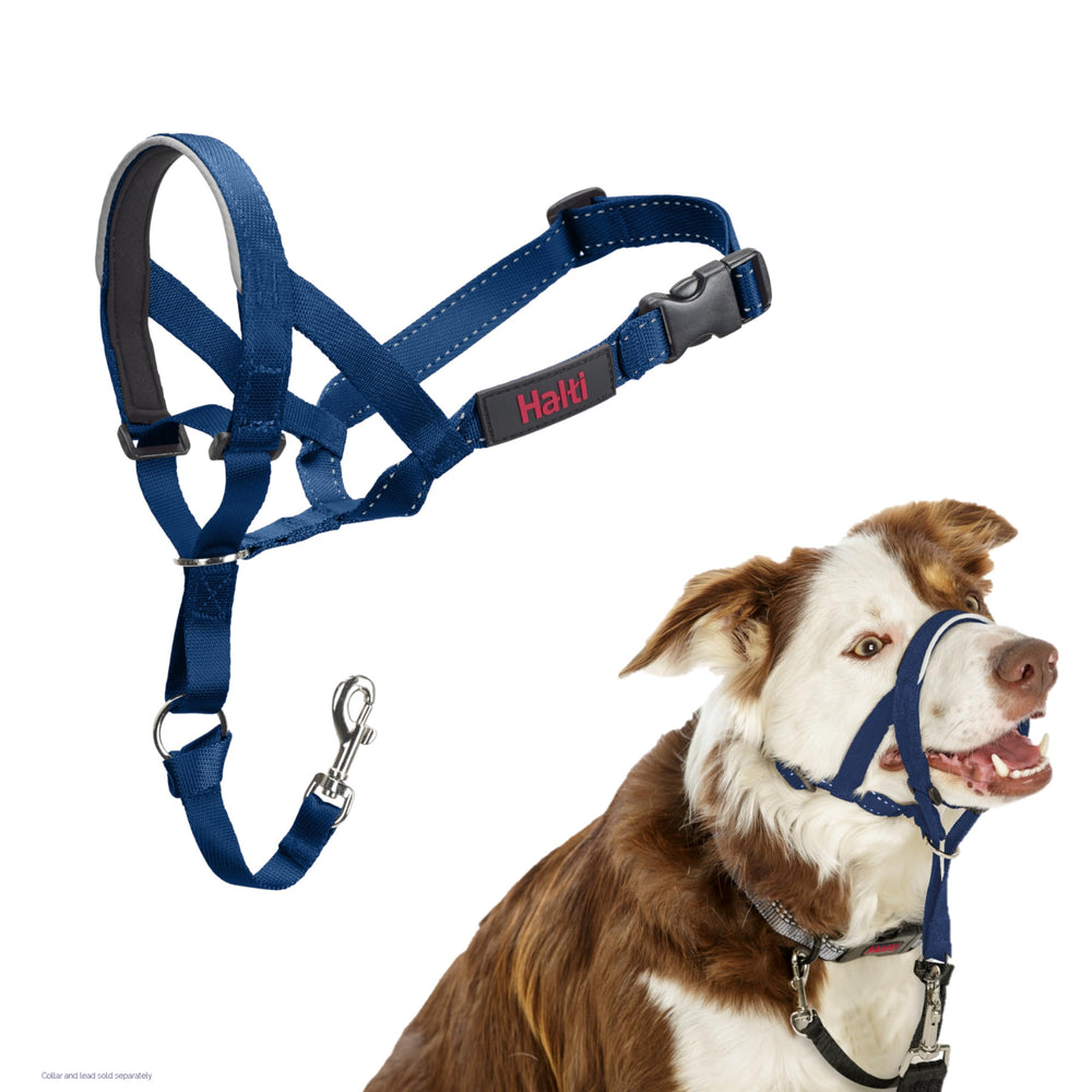 Halti headcollar taille 2 vue de face montrant ajustement et confort