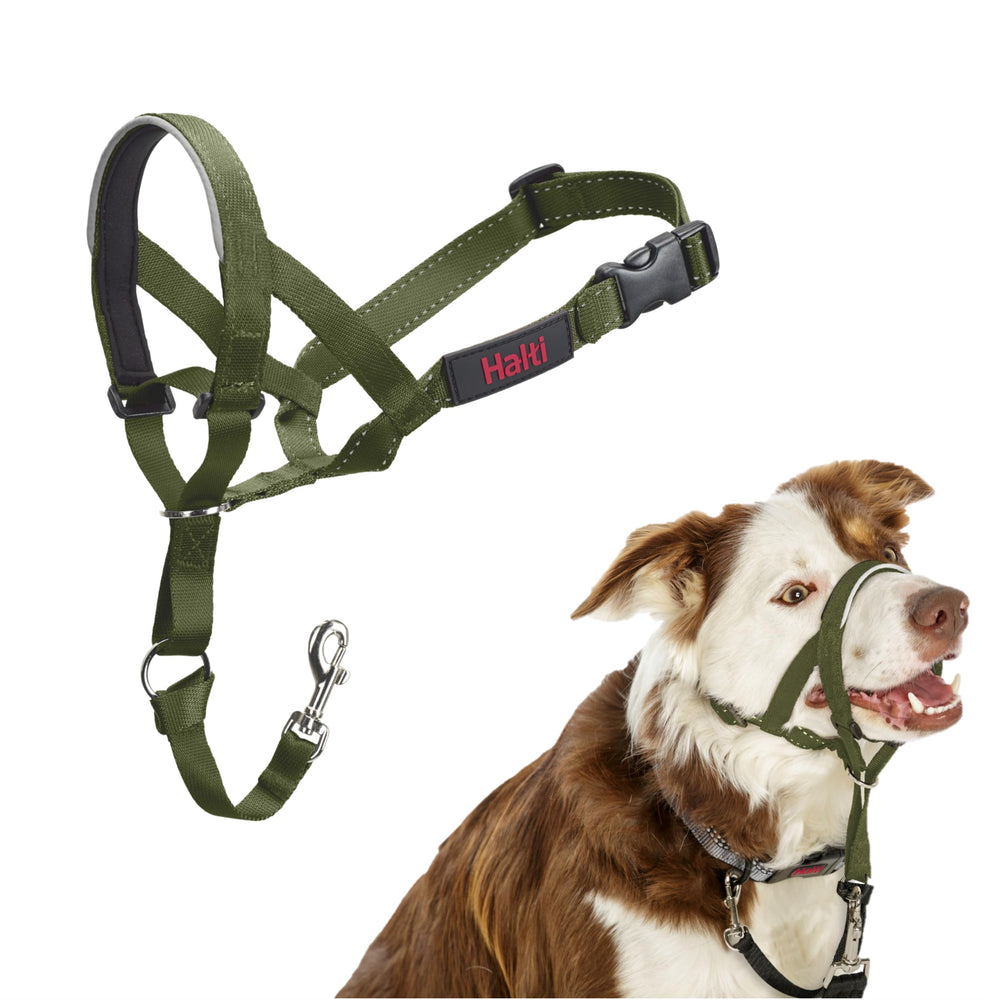 Halti headcollar taille 2 vert forêt vue de face montrant ajustement et contrôle