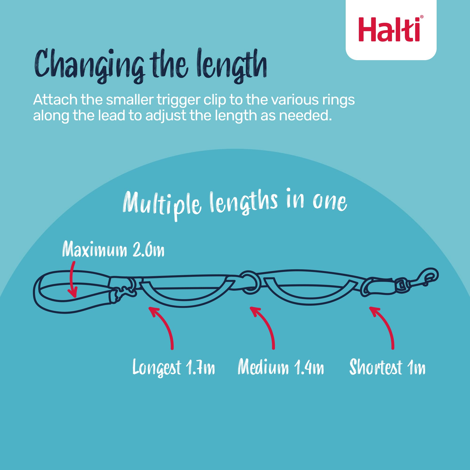 Halti double mousqueton fermé, connexion sûre et polyvalente