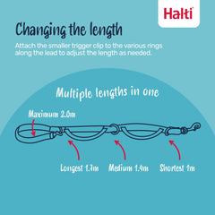 Halti double mousqueton fermé, connexion sûre et polyvalente