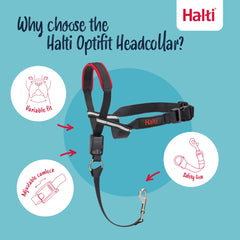 Halti Optifit brides latérales réfléchissantes pour meilleure visibilité
