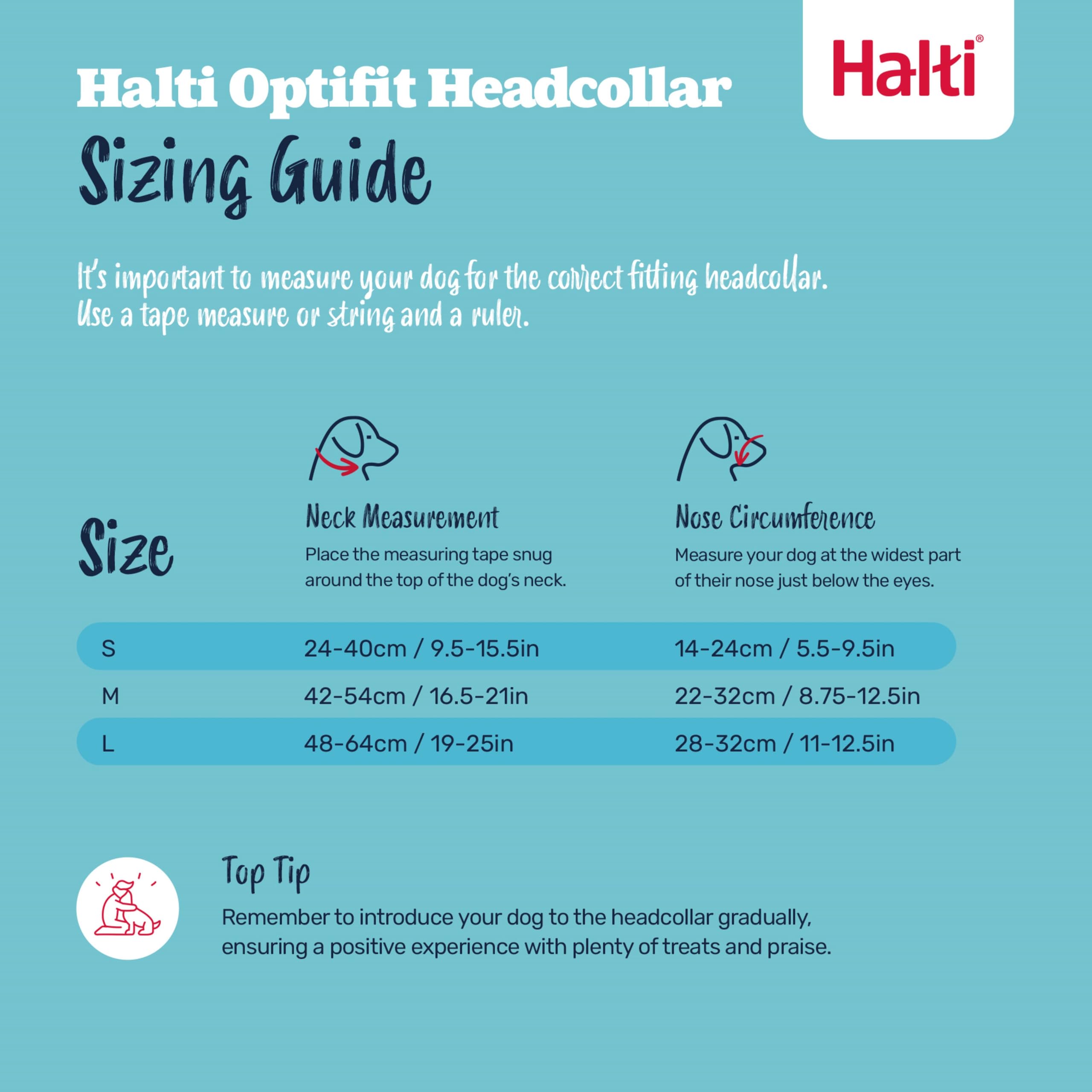 Halti Optifit comparaison taille L sur grand chien pour ajustement clair
