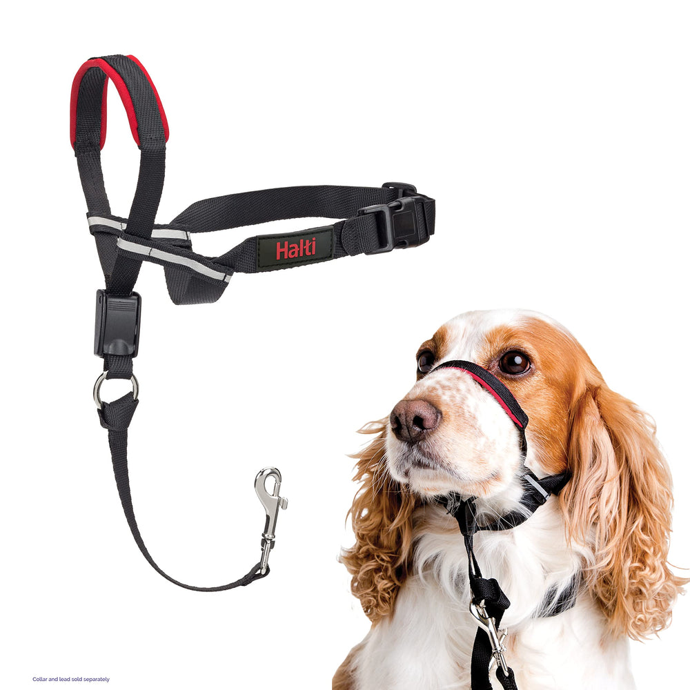 Halti Optifit face avant taille M montrant tenue et confort