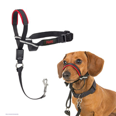 Halti OptiFit face avant taille S montrant maintien ergonomique