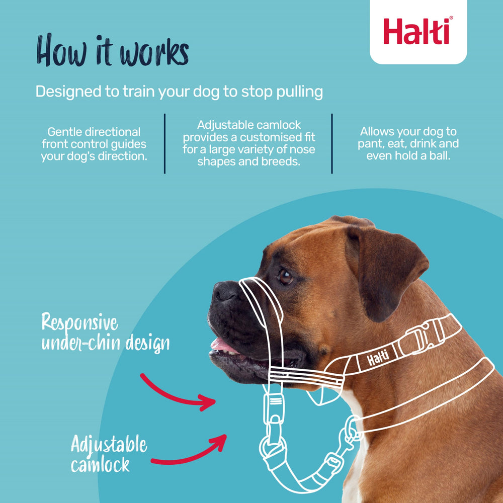 Halti Optifit gros plan rembourrage du museau pour plus de confort