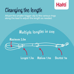 Headcollar Halti taille M ajusté sur un boxer montrant bon fit et contrôle