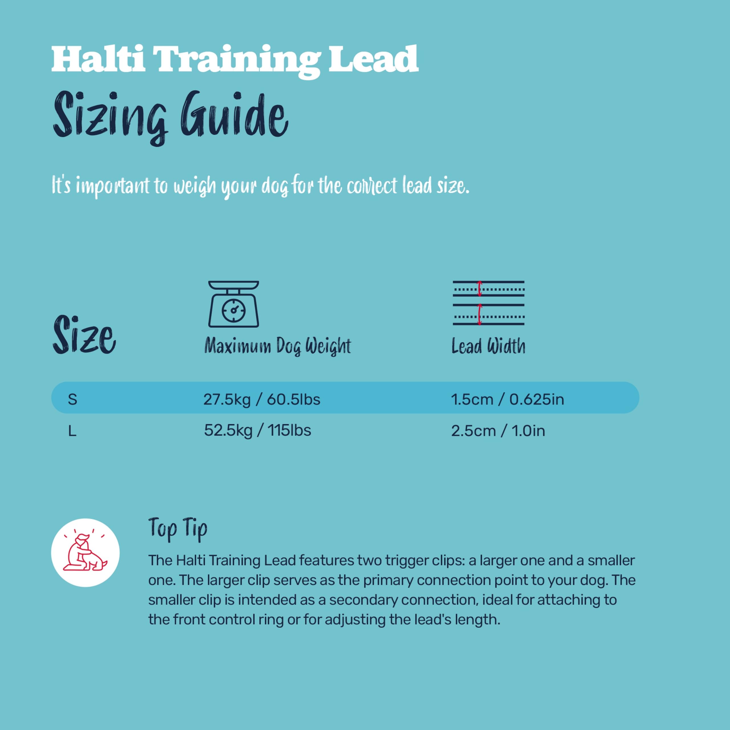 Halti laisse attachée en mode mains-libres à la taille, pratique pour sorties actives