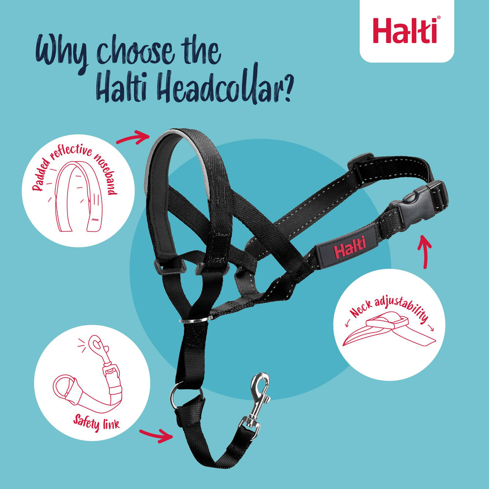 Halti training leash longueur complète pour polyvalence d'usage