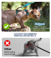 Halypet chat en balade contrôle doux et liberté de mouvement