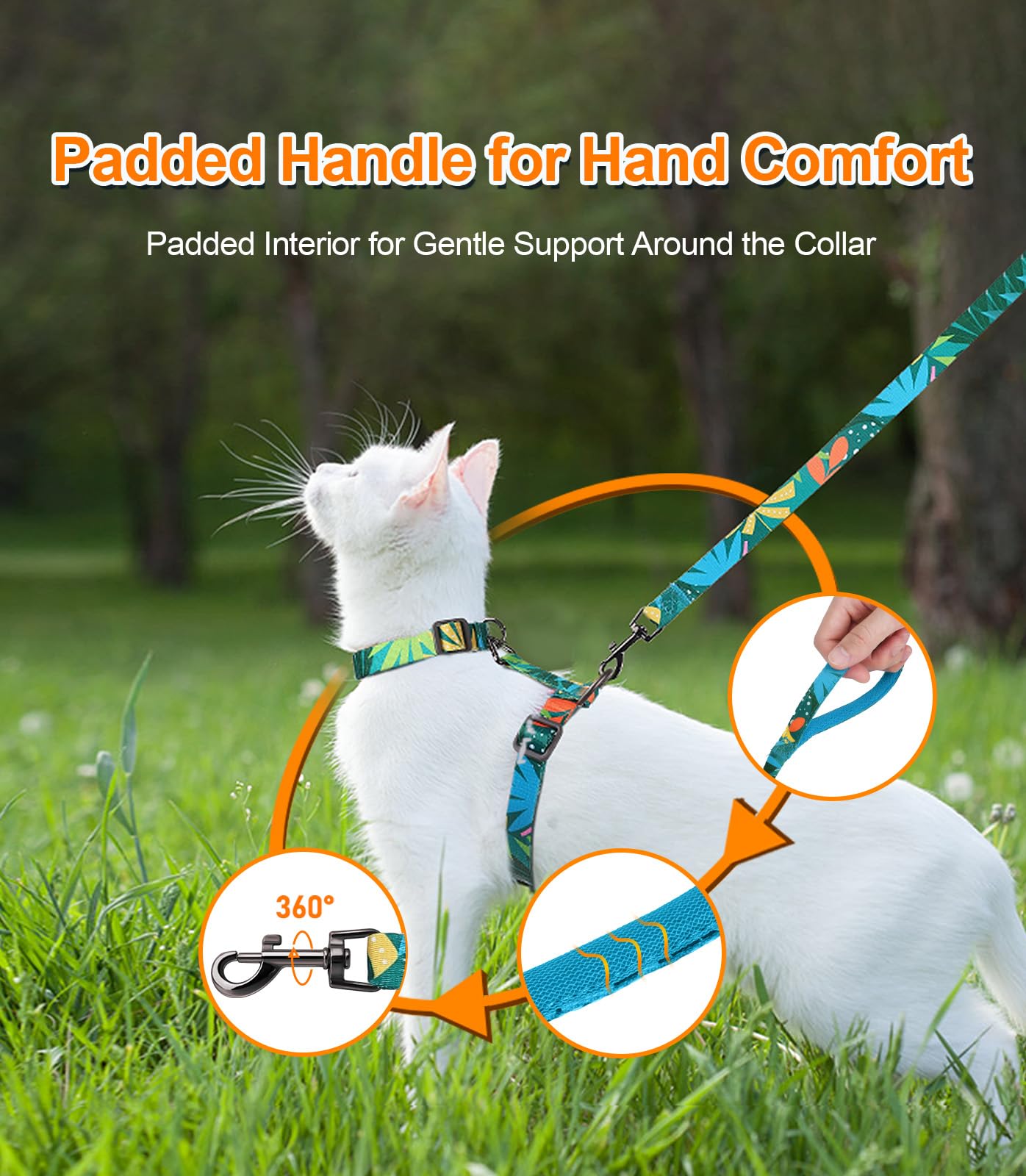 Halypet collier détachable facilite adaptation progressive
