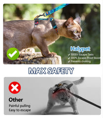 Halypet D‑ring abdominal répartit traction pour plus de sécurité