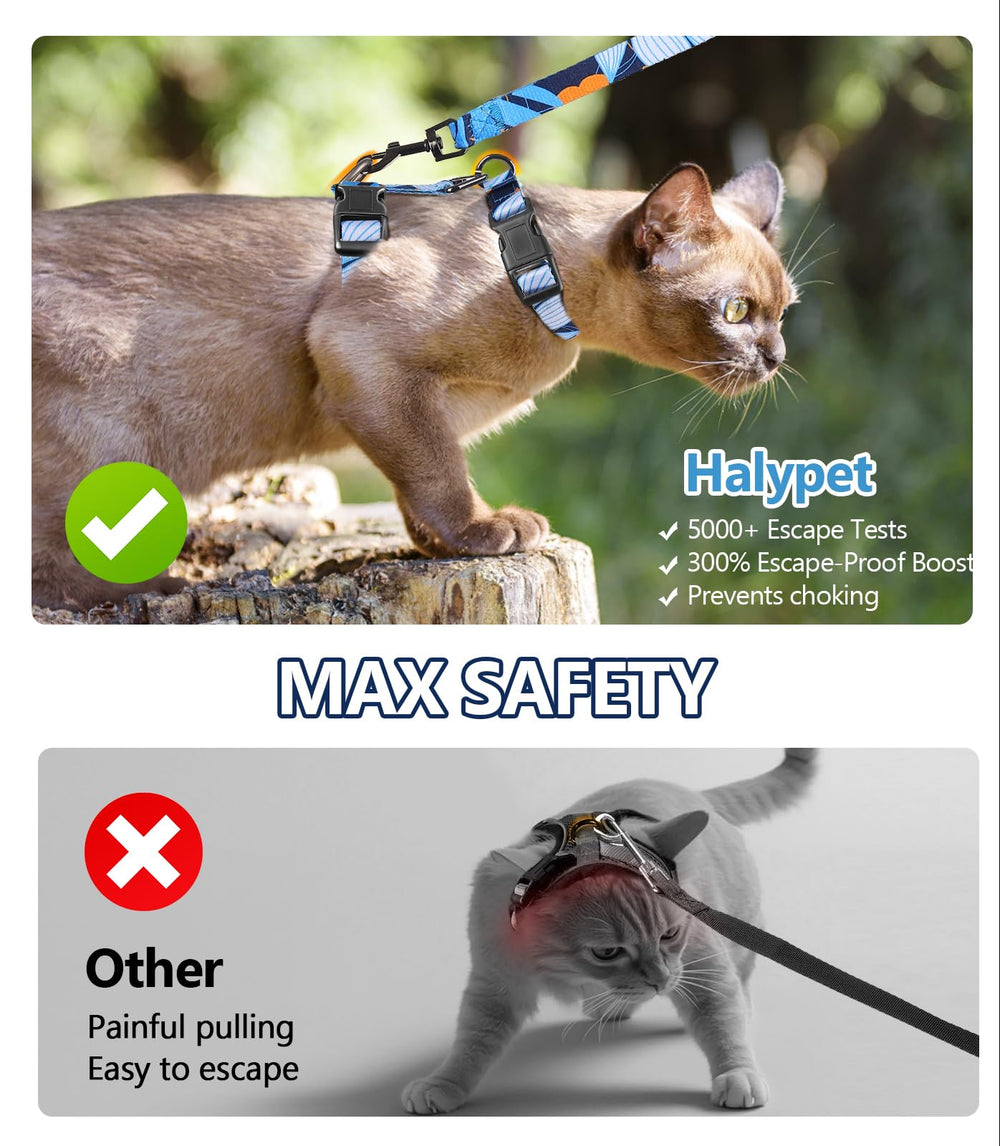 Halypet laisse et anneau métal offrant fixation robuste