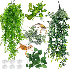 Hamiledyi vue avant de l'ensemble pour terrarium apportant cachettes sûres