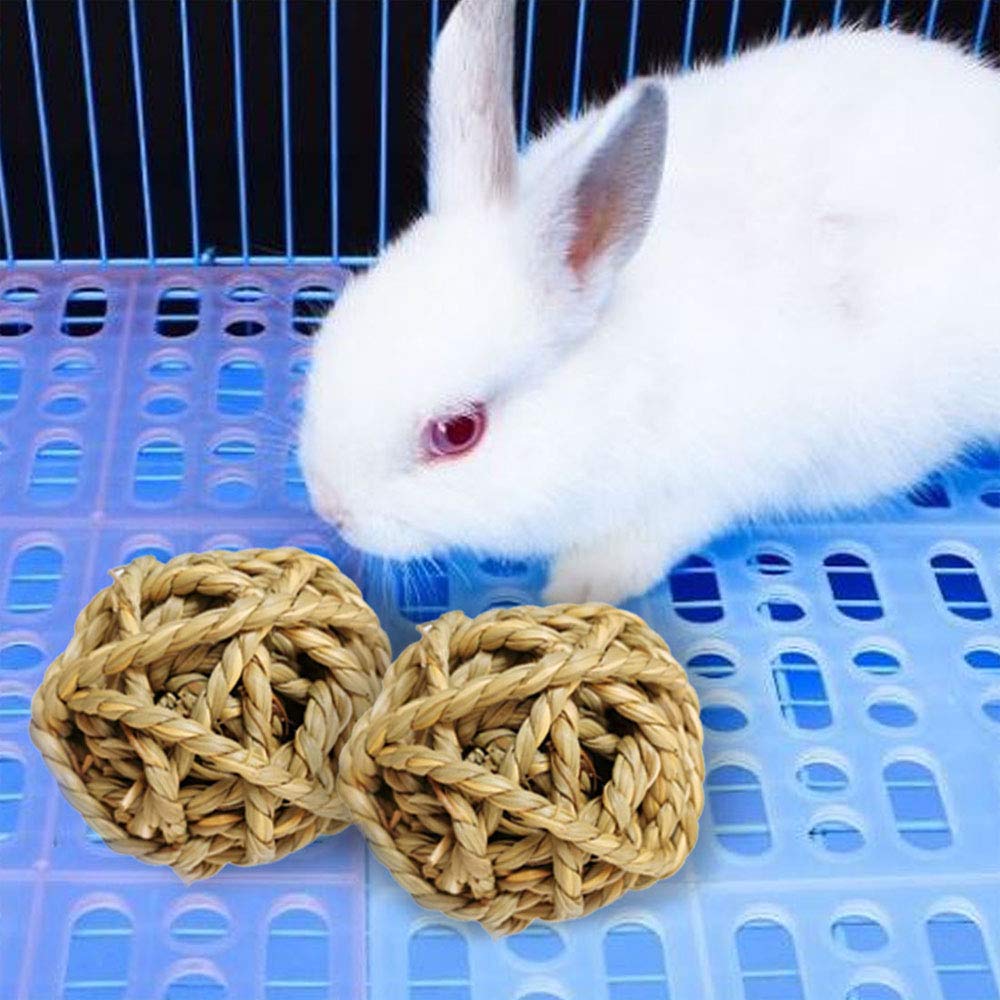 Hamiledyi lapin mâchant balle bénéfice usure dentaire saine