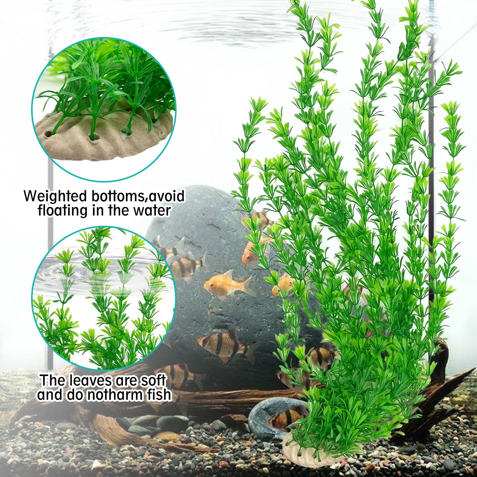 Hamiledyi base céramique lourde montrée stabilisant plante dans le gravier