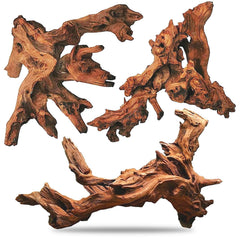 Hamiledyi bois flotté gros plan face montrant beauté naturelle