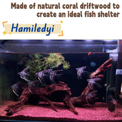 Hamiledyi bois flotté en aquarium créant abris et zones d’ombre bénéfiques