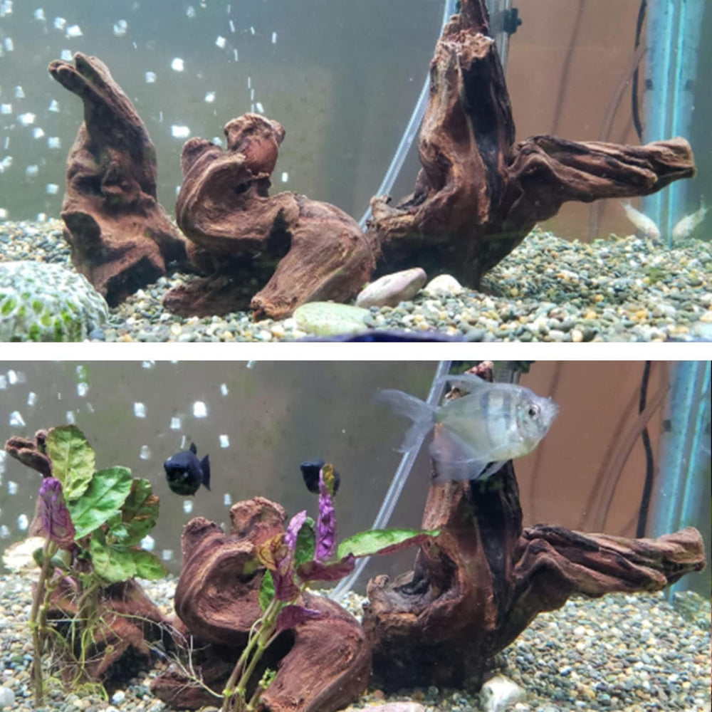 Hamiledyi bois avec mousse attachée créant un décor naturel