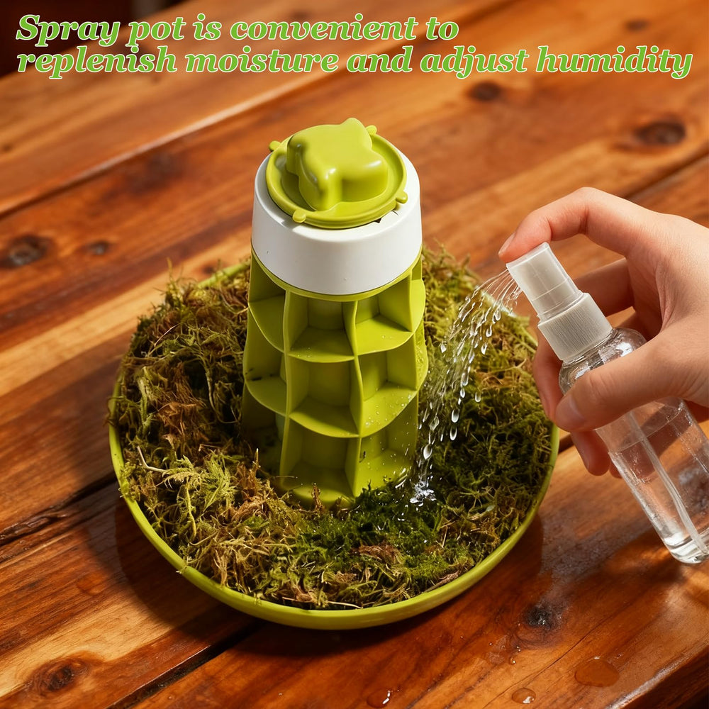 Hamiledyi terrarium taille comparée main portable pratique