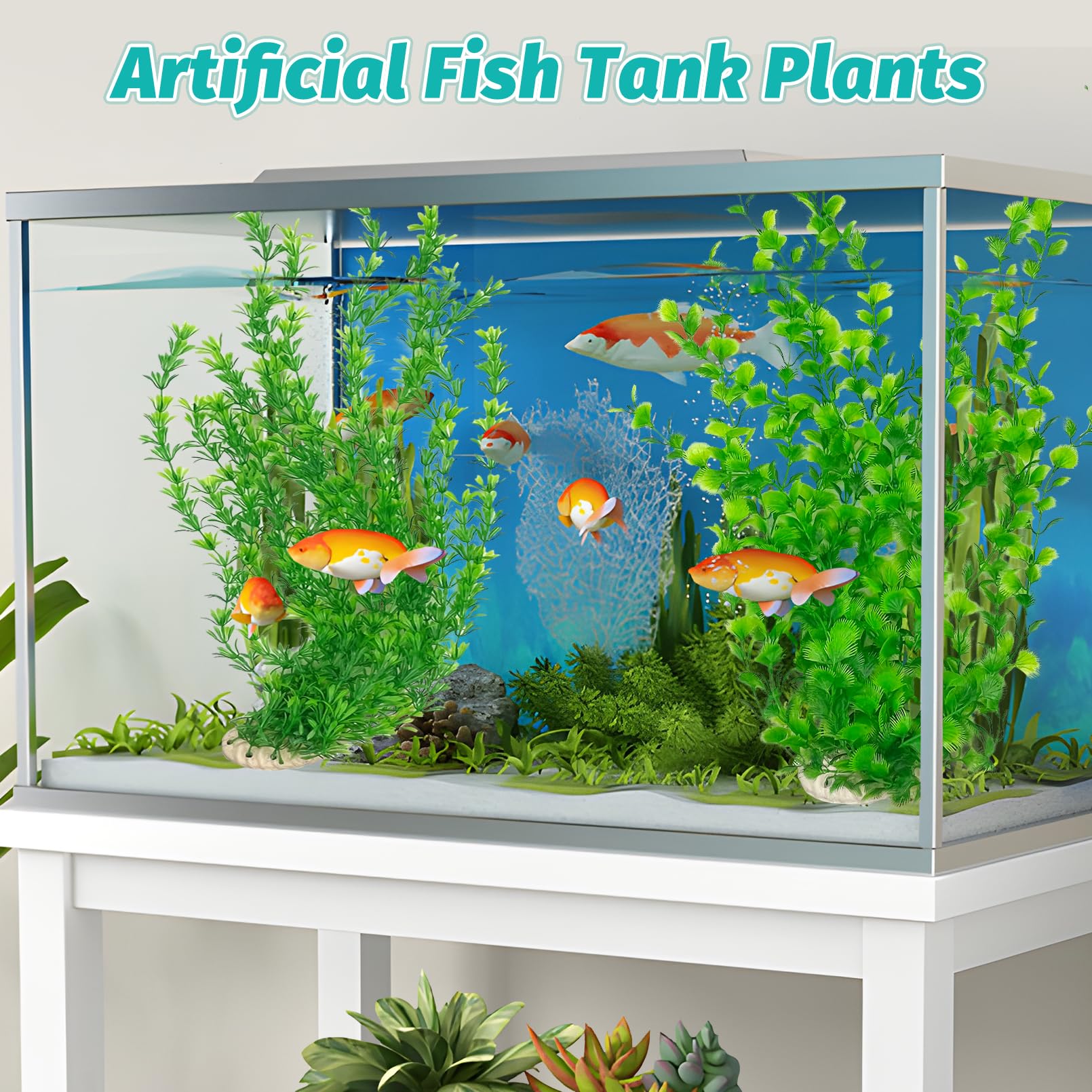 Hamiledyi échelle taille comparaison montrant 60 cm adapté aquariums moyens
