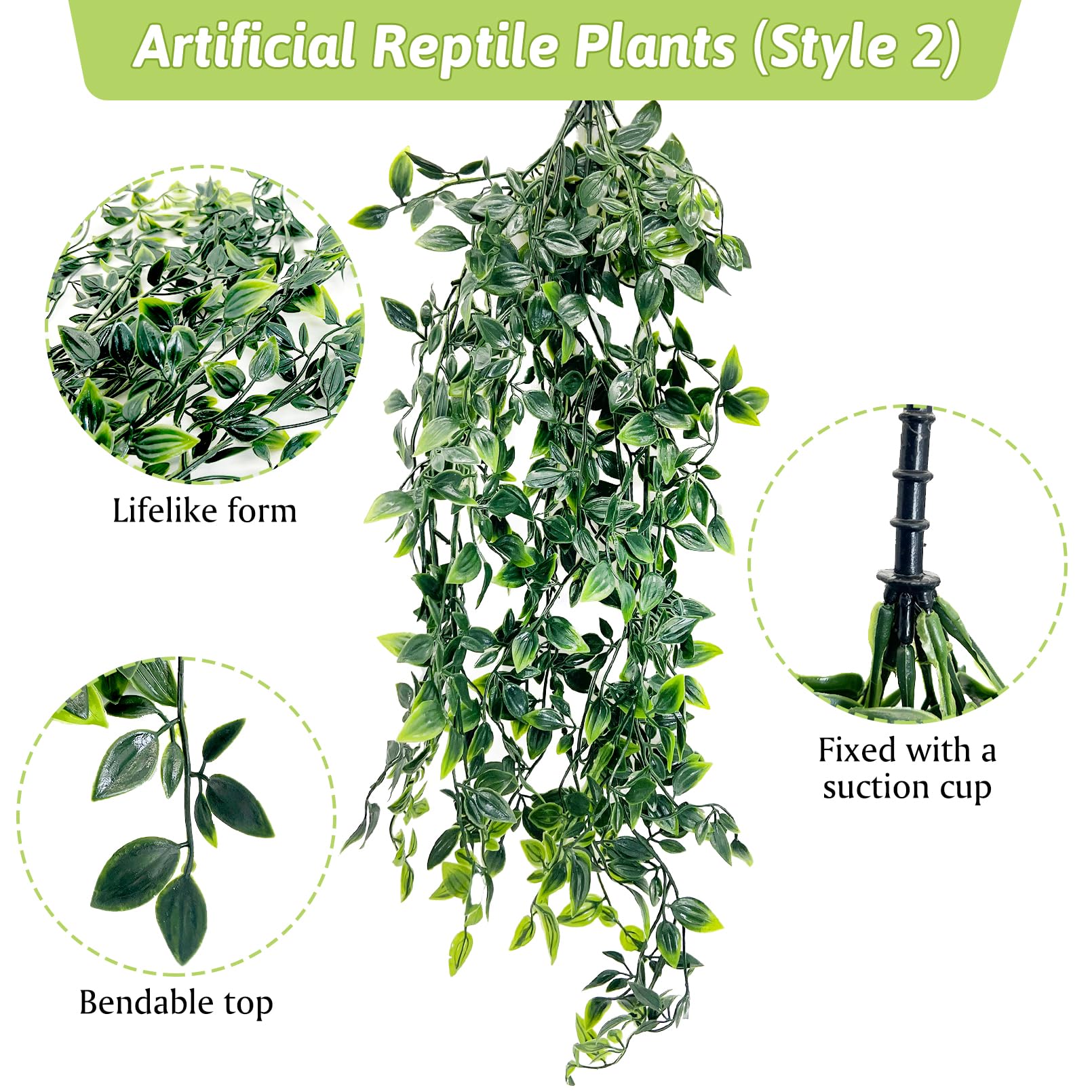 Hamiledyi plante en usage avec serpent offrant voies d'escalade