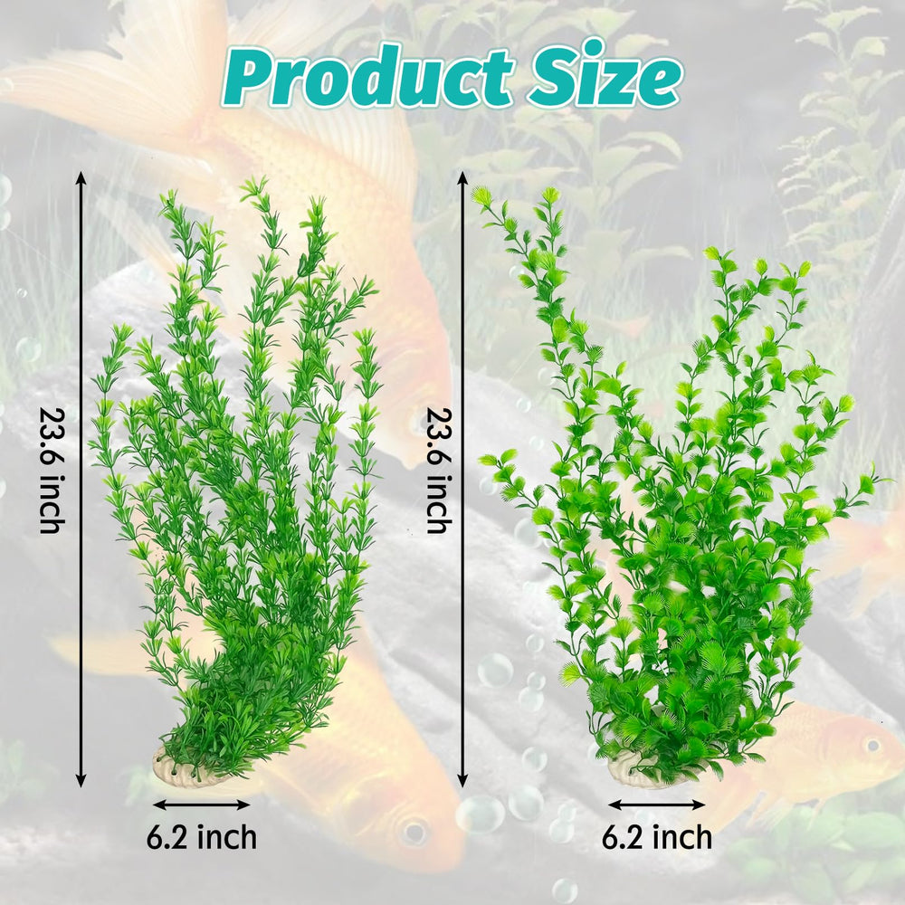 Hamiledyi gros plan feuillage souple illustrant texture sûre pour poissons