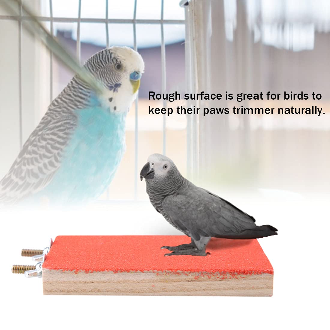 Hamiledyi pack de cinq perchoirs idéal pour plusieurs oiseaux