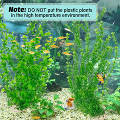Hamiledyi plante en aquarium utilisée pour offrir cachettes et relief visuel