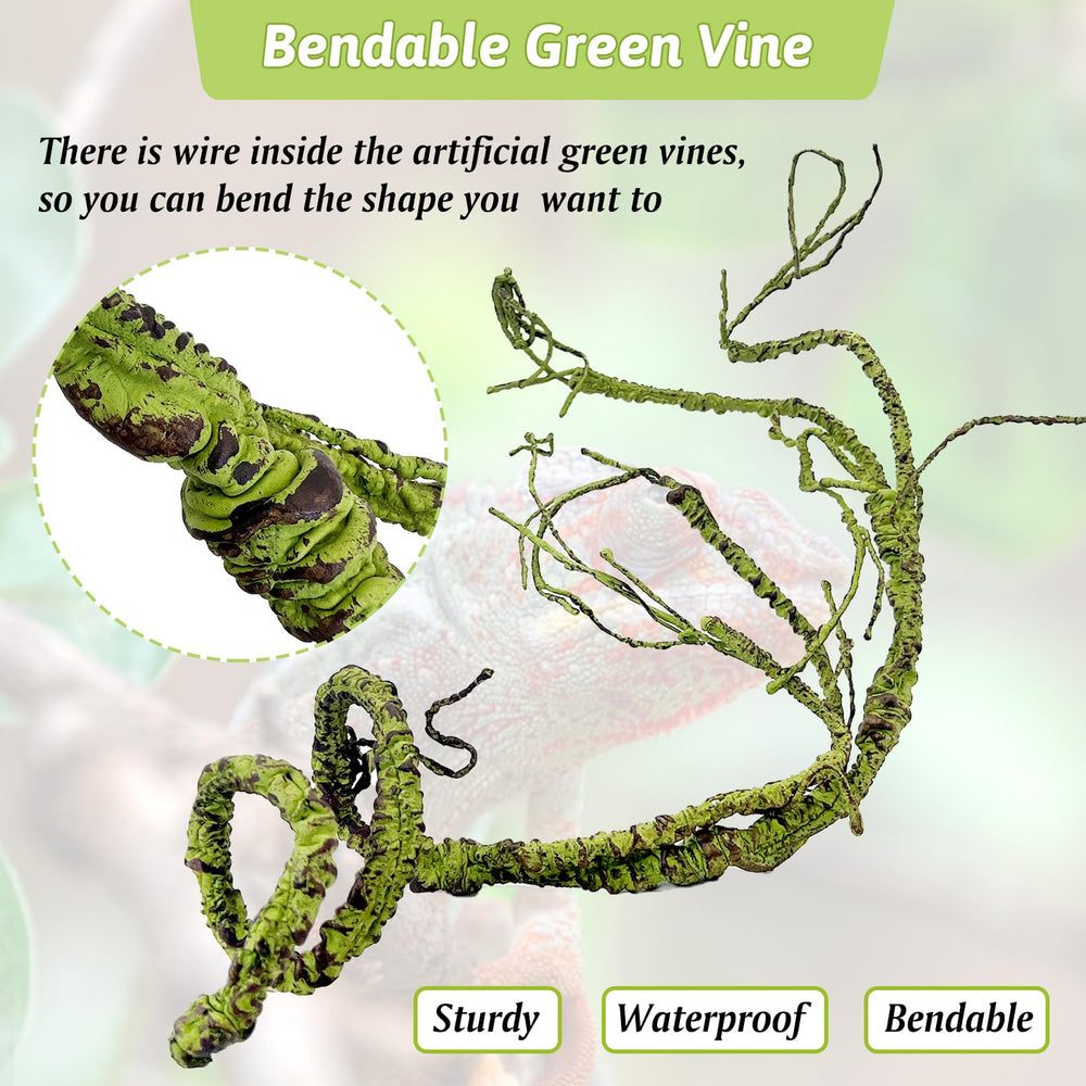 Hamiledyi plantes installées dans terrarium avec serpent pour cachettes réalistes