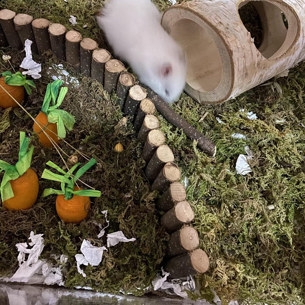 Hamiledyi rampe posée à plat pour aire de jeu et passage stable