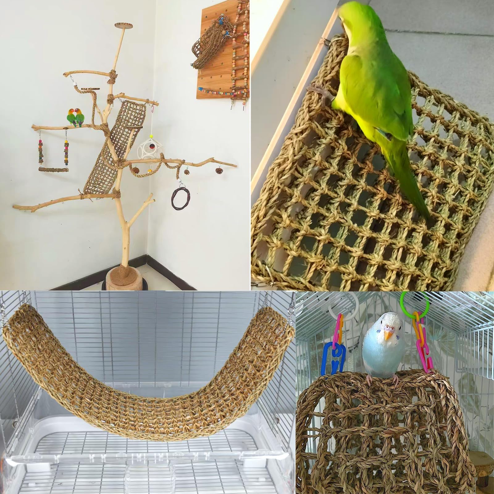 Hamiledyi tapis suspendu en cage avec oiseau, stimule activité